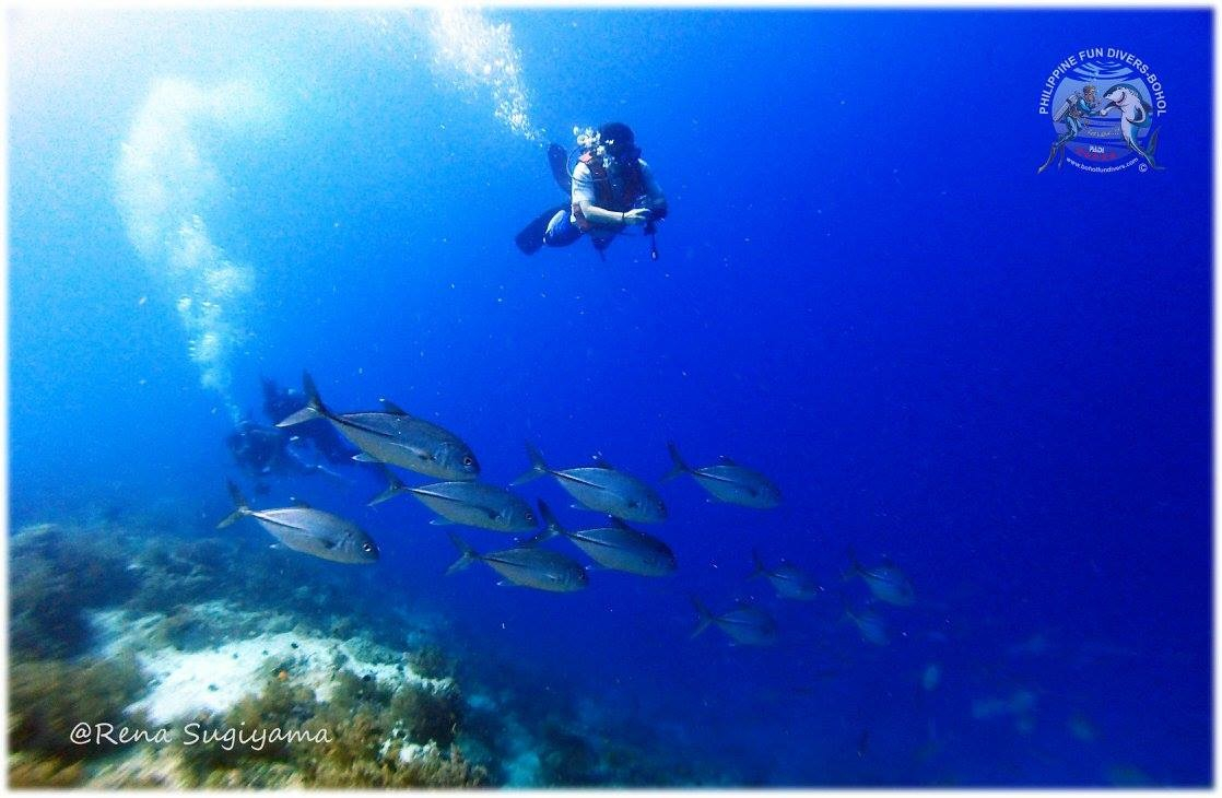 6b639f015ea04075adb1de1bc36c7f30